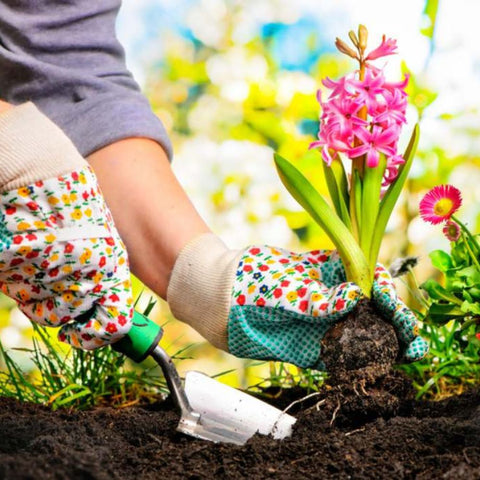 Gardening Tools