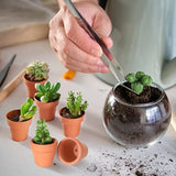 50pcs Mini Terracotta Pots With Drainage Holes Planters