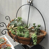 Coconut Palm Hanging Basket Succulent Flower Pot Decoration