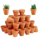 50pcs Mini Terracotta Pots With Drainage Holes Planters