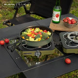 Double Burner Portable Folding Camping Gas Stove