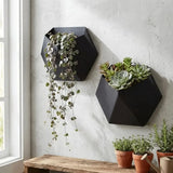 Geometric Hexagonal Wall Mounted Succulent Plant Pot Planter