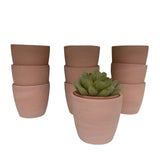 10pcs Egg Shape Terracotta Succulent Planter Pots Set