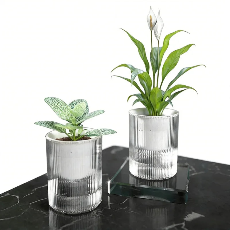 Transparent Self Watering Plastic Flower Pot Lazy Planter