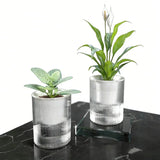 Transparent Self Watering Plastic Flower Pot Lazy Planter