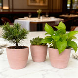 10pcs Egg Shape Terracotta Succulent Planter Pots Set