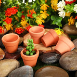 50pcs Mini Terracotta Pots With Drainage Holes Planters