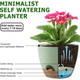 Set Of 5 Self Watering Plastic Plant Pots