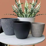 Frosted Stone Bonsai Flowerpot Large Capacity Plant Pot