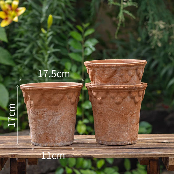3-medium-size