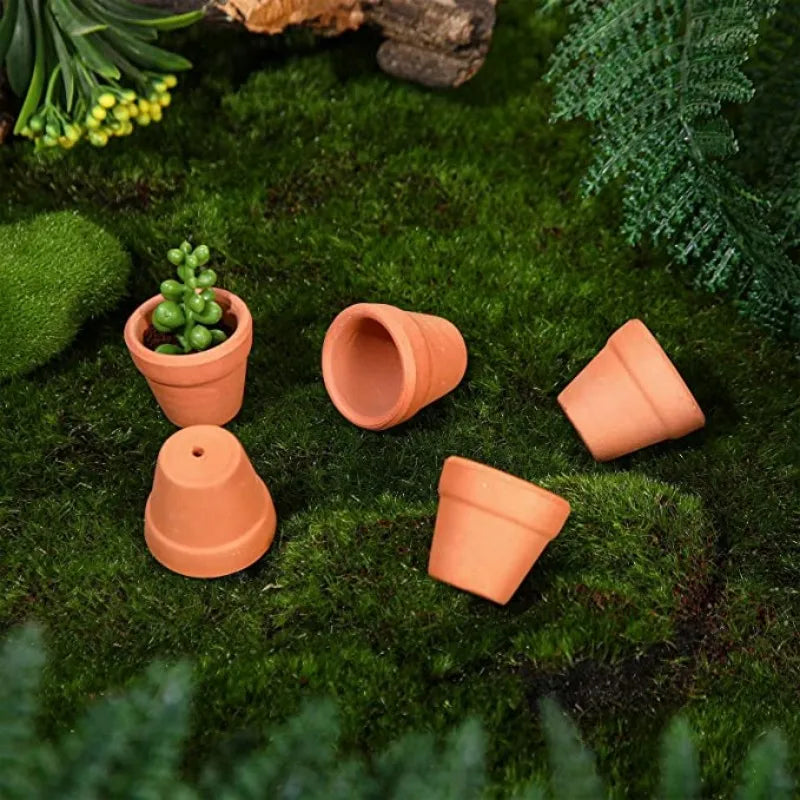 50pcs Mini Terracotta Pots With Drainage Holes Planters