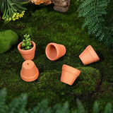 50pcs Mini Terracotta Pots With Drainage Holes Planters