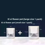 Transparent Self Watering Plastic Flower Pot Lazy Planter