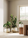 Set Of 2 Ceramic Plant Pots With Saucers