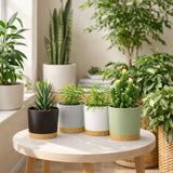 4PCS Removable Bottom Round Breathable Flower Pots Set