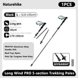 Ultralight Carbon Fiber Folding Trekking Poles