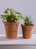 Retro Red Clay Terracotta Flower Pot Garden Planter