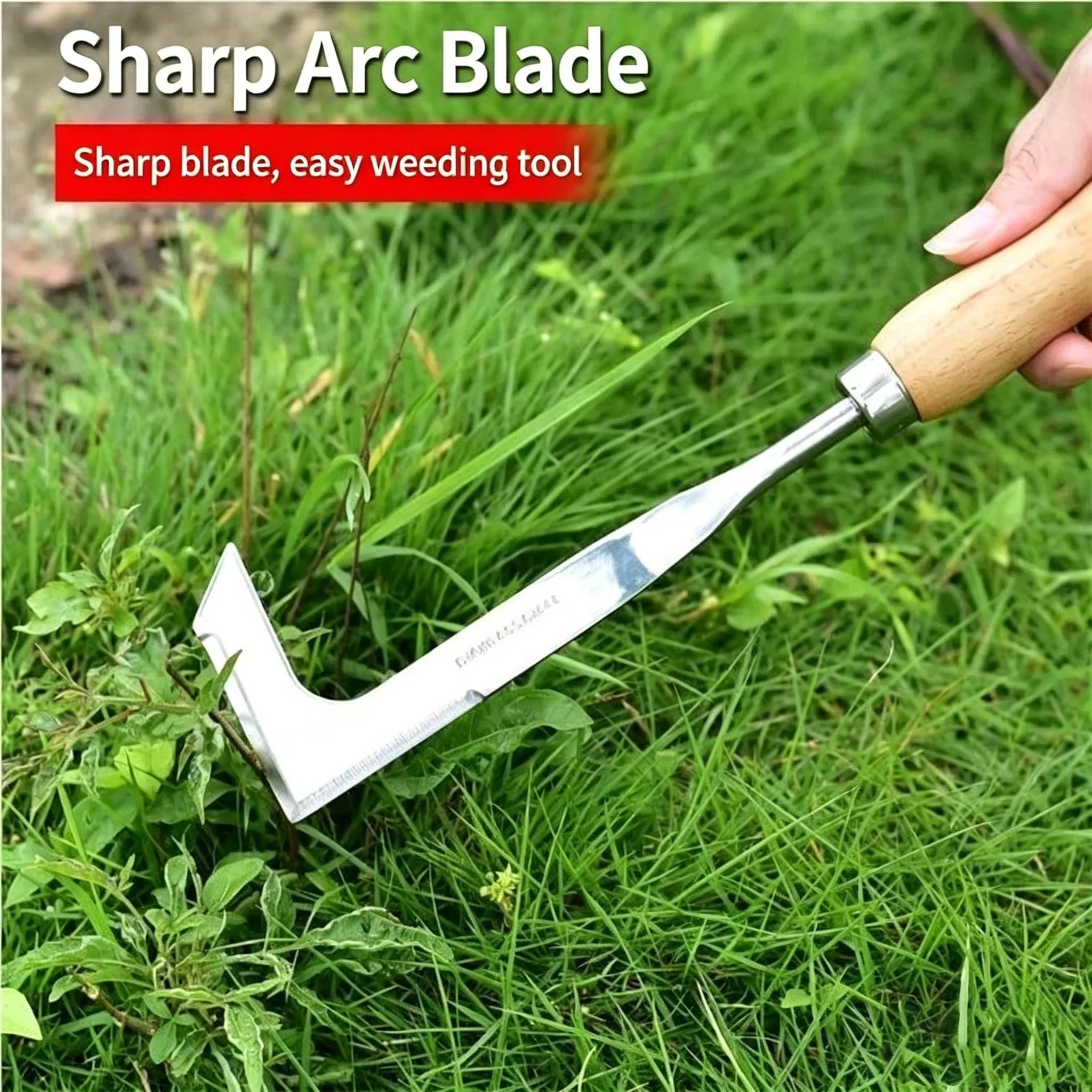 Stainless Steel Weed Remover Tool For Courtyard Gaps