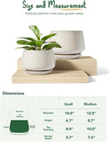Set Of 2 Ceramic Plant Pots With Saucers