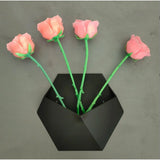 Geometric Hexagonal Wall Mounted Succulent Plant Pot Planter